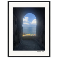 Arched Surprise in Sorrento Framed Print