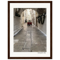 Afternoon Stroll Framed Print