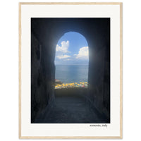 Arched Surprise in Sorrento Framed Print