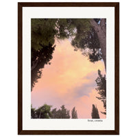 Pink Sunset Framed Print