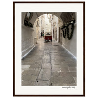 Afternoon Stroll Framed Print