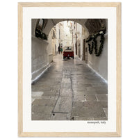 Afternoon Stroll Framed Print