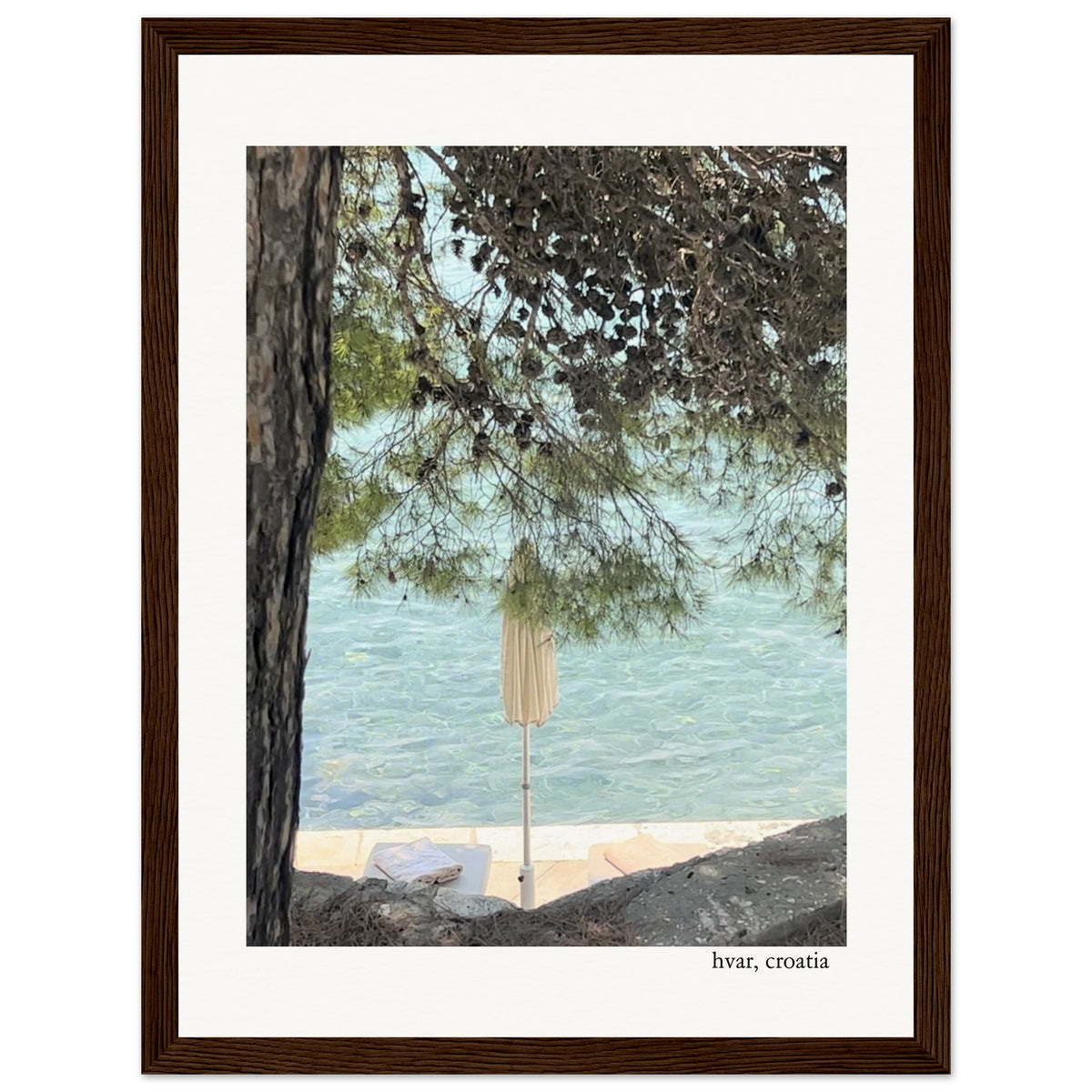 Colors of Nature Framed Print