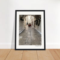 Afternoon Stroll Framed Print