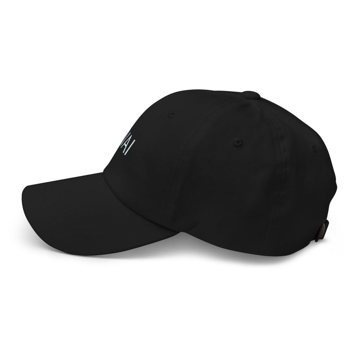 "VAI" Hat