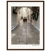 Afternoon Stroll Framed Print