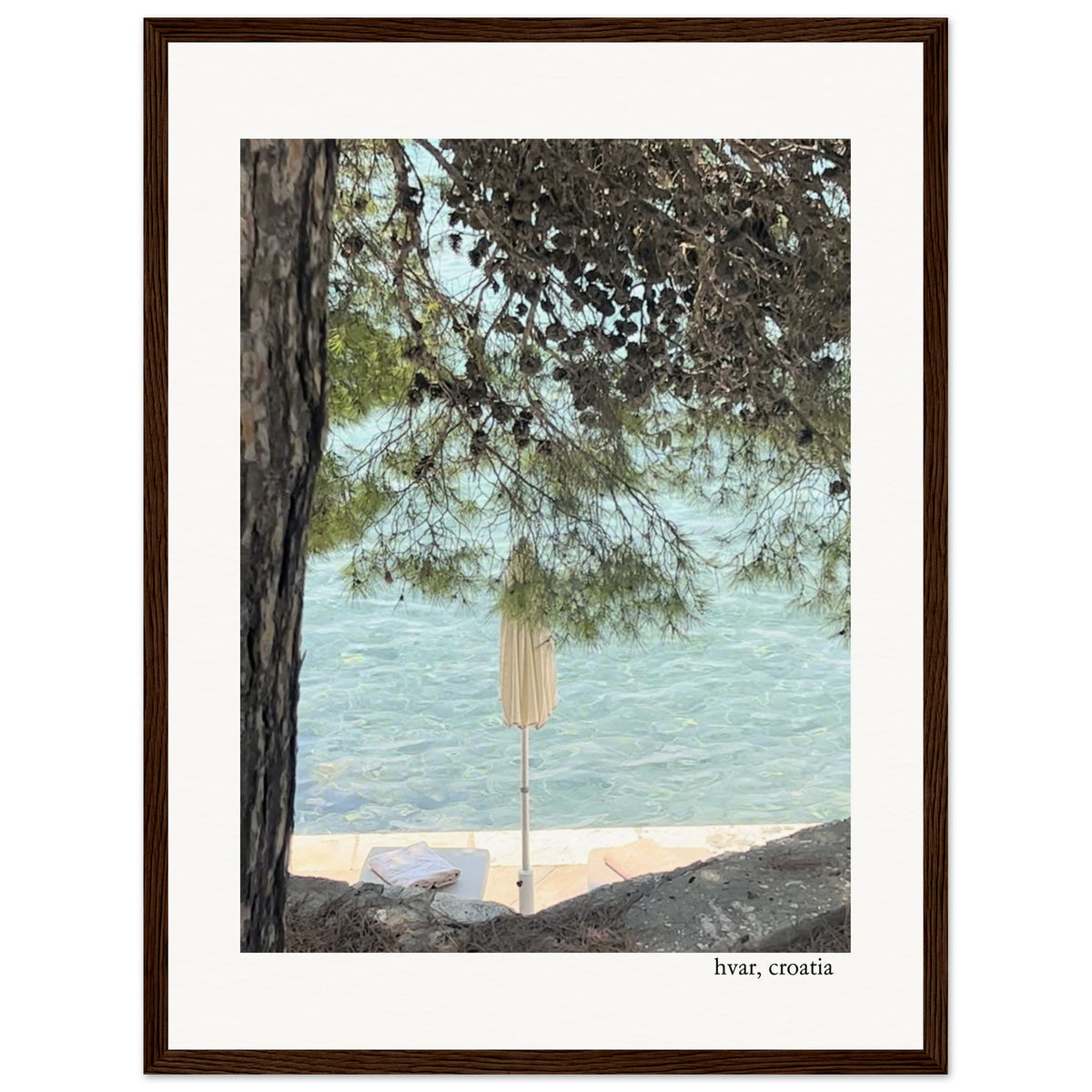 Colors of Nature Framed Print