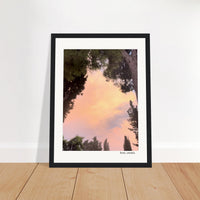 Pink Sunset Framed Print